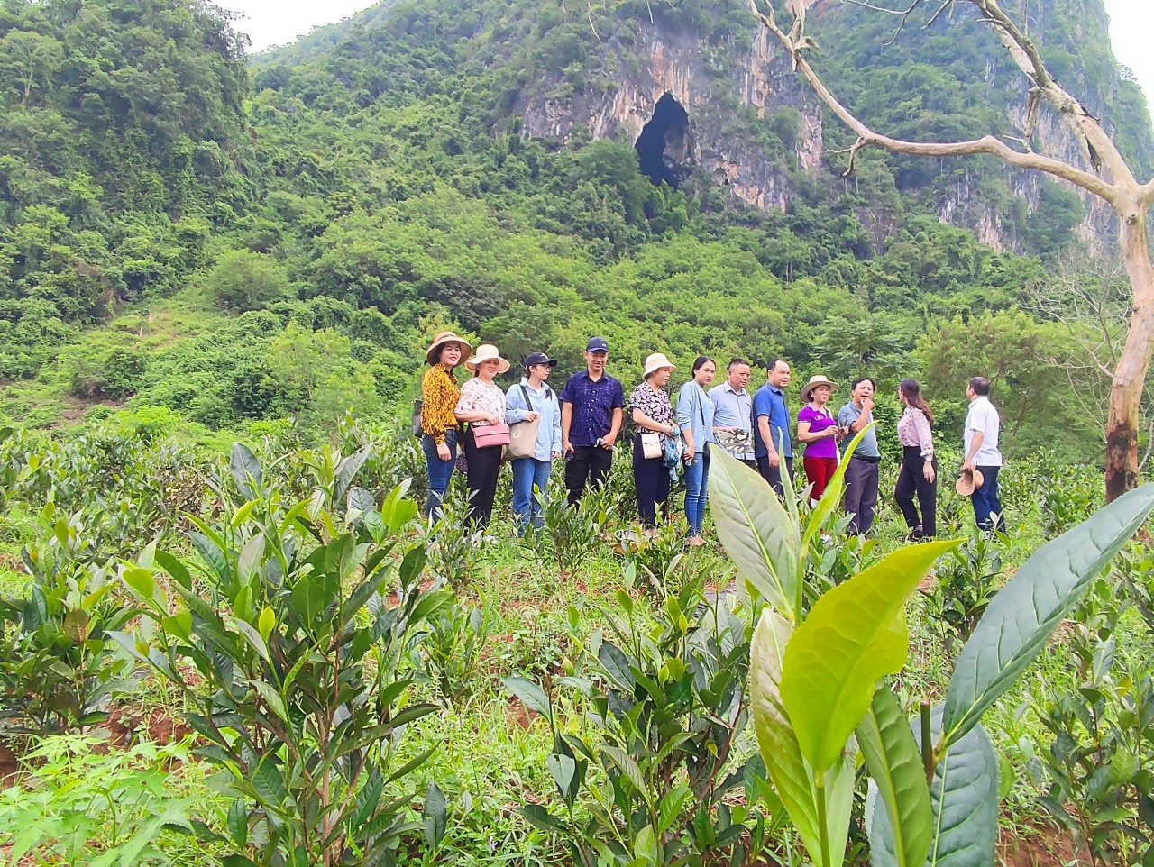 Product Info Image 4